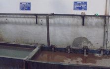 Pre Treatment Plant